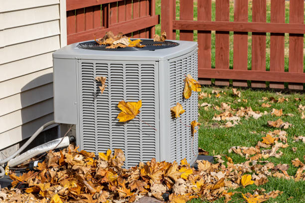 Best HVAC Tune-Up Services  in Bagdad, AZ